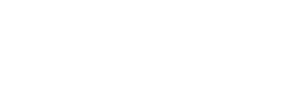 WDSF DanceSport Academy